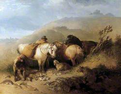 Scotch Gamekeeper's Ponies and Dogs